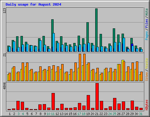 Daily usage for August 2024
