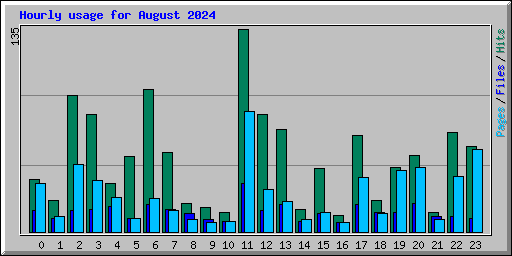 Hourly usage for August 2024