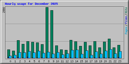 Hourly usage for December 2025
